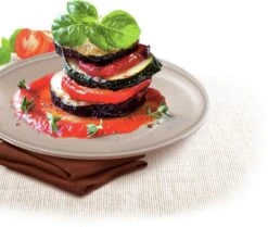 Tefal Success Ovenware Ovenschotel - 20 X 26 Cm 16 Tefal Success Ovenware Ovenschotel - 20 X 26 Cm -Tefal Keuken Verkoopwinkel 1200x1014 4