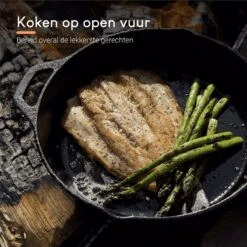 Ocina Gietijzeren Pan – ø30,5cm - Skillet - Koekenpan – Hapjespan – Koekenpan Inductie – Koekenpannenset - Gietijzeren Pan Bbq - Gietijzer 13 Ocina Gietijzeren Pan – ø30,5cm - Skillet - Koekenpan – Hapjespan – Koekenpan Inductie – Koekenpannenset - Gietijzeren Pan Bbq - Gietijzer -Tefal Keuken Verkoopwinkel 1200x1200 157