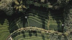 Sola Bestekset Bali - Modern - 9 Persoons - 90 Delig - Zilverwit Edelstaal 18/10 - RVS - Zilver -Tefal Keuken Verkoopwinkel 1200x675