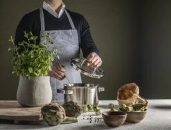 Sola Pannenset Juvia - 4 Delig - Ø 16,16,18,20 Cm - Zilver - RVS - Sandwichbodem -Tefal Keuken Verkoopwinkel 1200x911