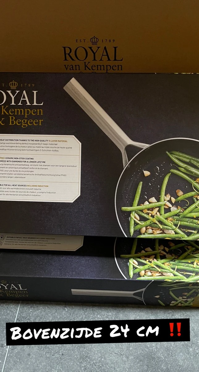 Royal Van Kempen En Begeer - Koekenpan - 24 Cm 2 Royal Van Kempen En Begeer - Koekenpan - 24 Cm - Afbeelding 2