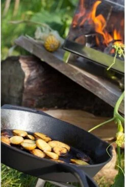 Petromax Skillet - Gietijzer - Koekenpan Met Steel En Handgreep - ø35cm Fp35t -Tefal Keuken Verkoopwinkel 813x1200